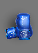 Load image into Gallery viewer, Bangkok Boxing Authentic Boxing Gloves V3